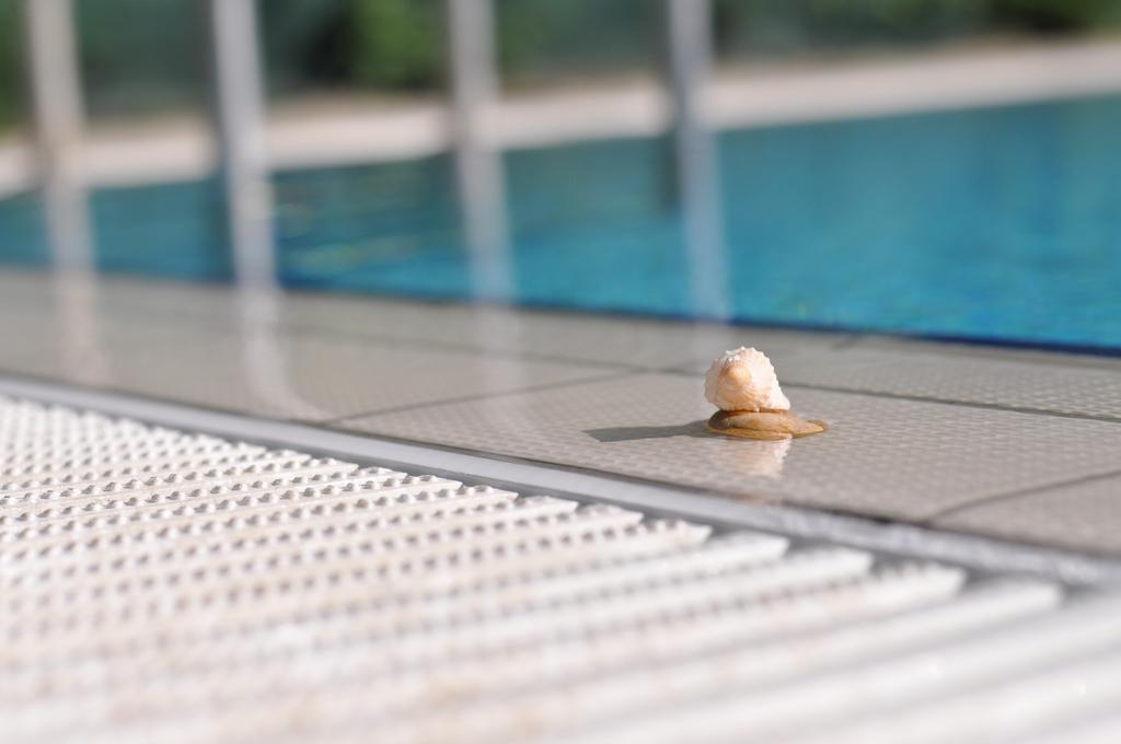 Aqua Wellness Apartments Hajduszoboszlo Bilik gambar